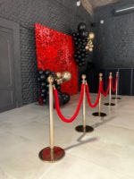 Столбики с канатами/столбики ограждения