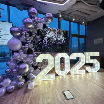 Фотозона из пайеток Серебро на Новый 2025 год