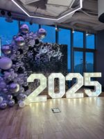 Фотозона из пайеток Серебро на Новый 2025 год